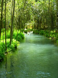 Water flow swim photo