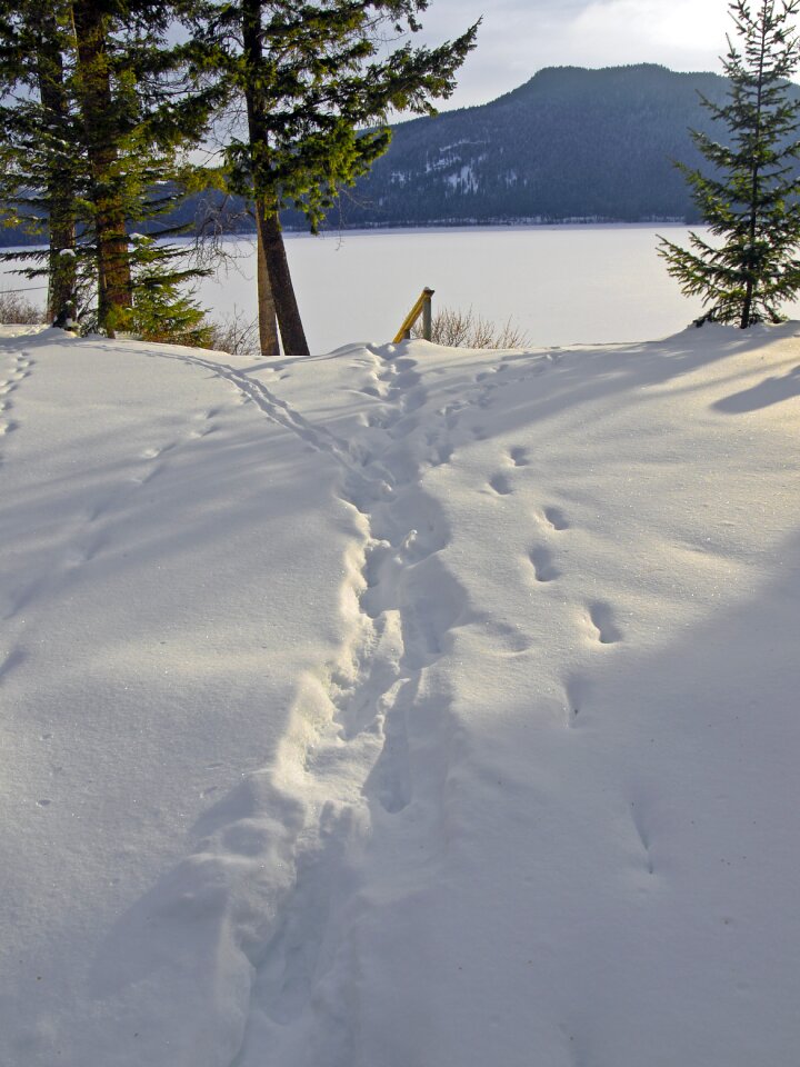 Canada snow cold
