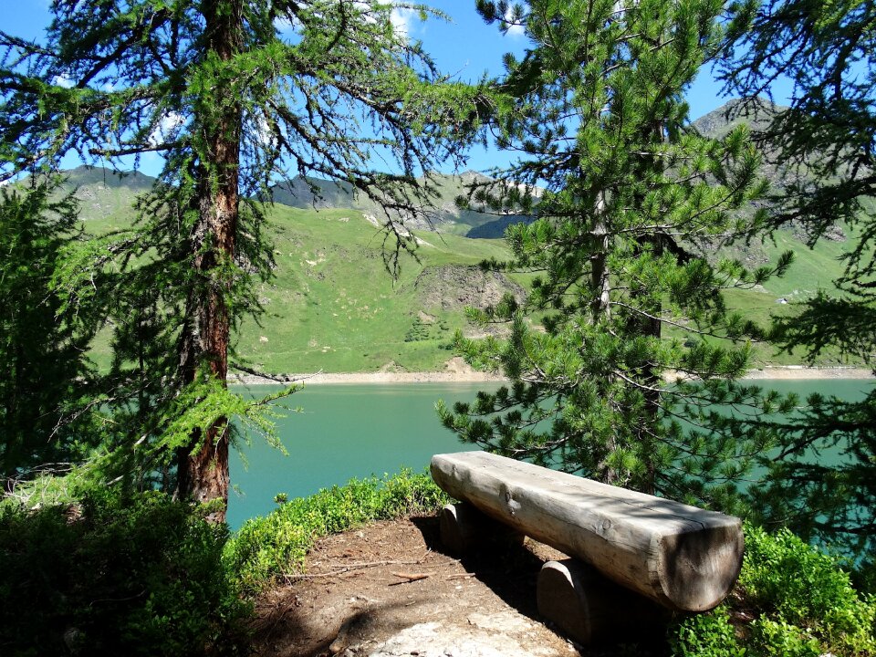 Wooden bench bergsee nature