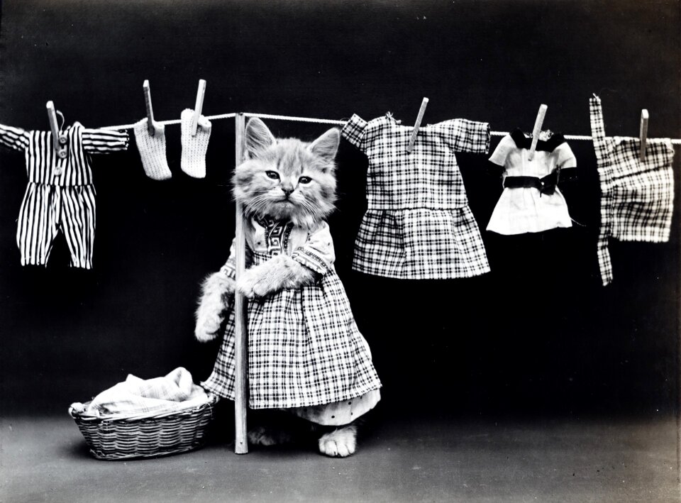 Clothed vintage cute