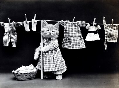 Clothed vintage cute photo