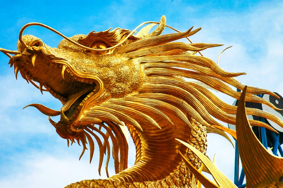 Dragons dragon's head golden