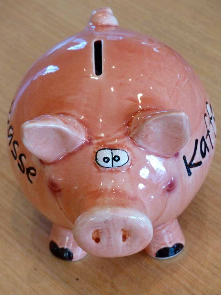 Pig spar slot money