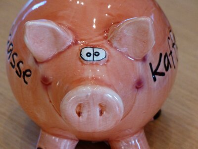 Pig spar slot money photo