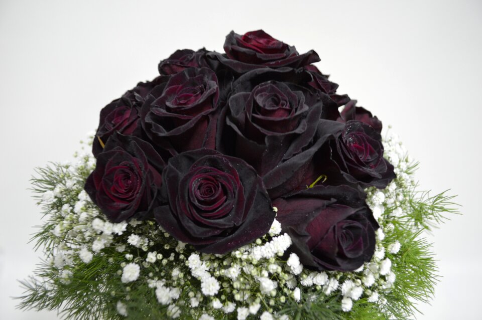Black roses black rose bridal bouquets