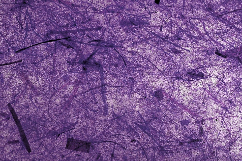 Paper background banana