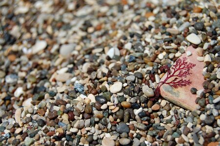 Stones round shore