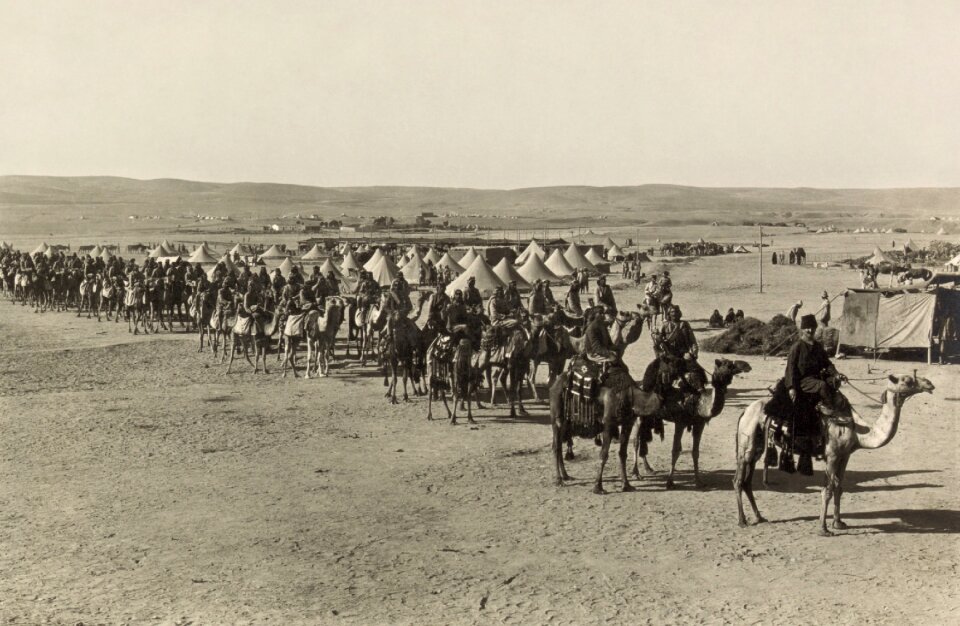 1915 black and white people