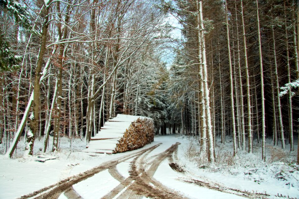 Winter tracks trail photo