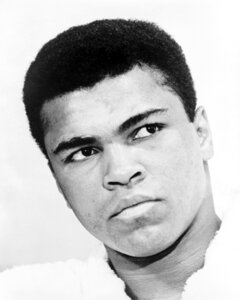 Heavyweight portrait boxing