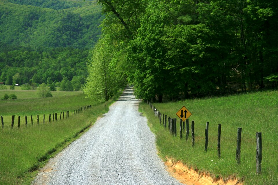 Fence forest woods photo