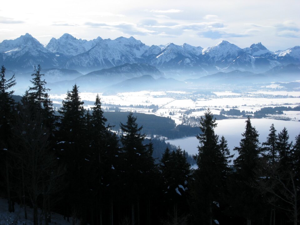 Winter snow panorama