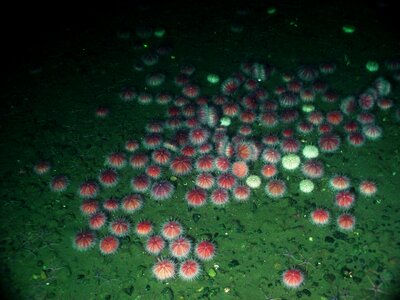 Water underwater deep
