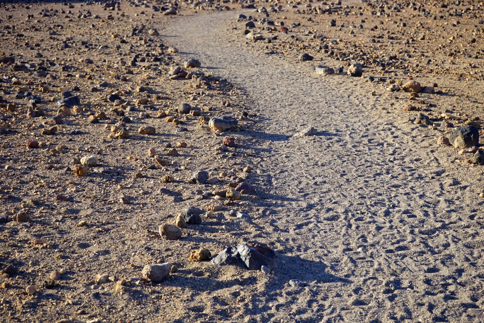 Migratory path trail tenerife