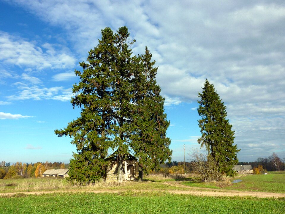 Scenic grass sky photo