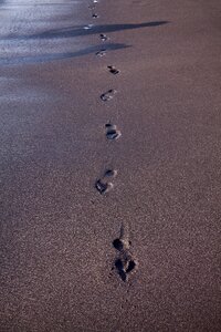 Sand black barefoot photo