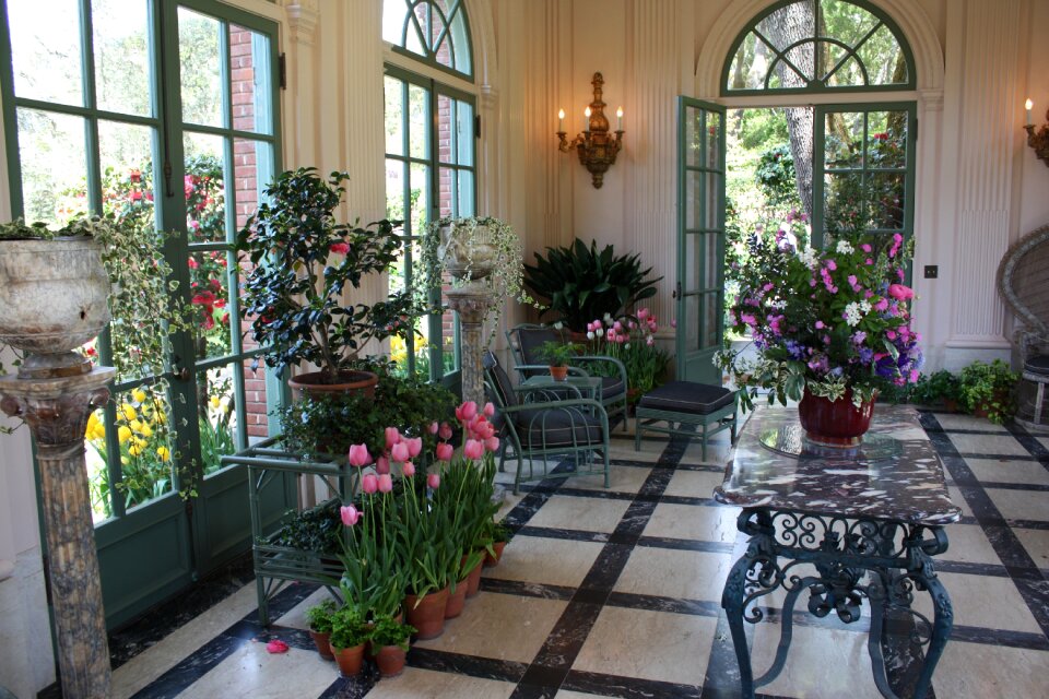 Nature atrium blossom