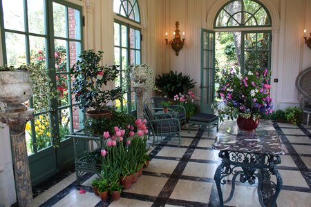 Nature atrium blossom