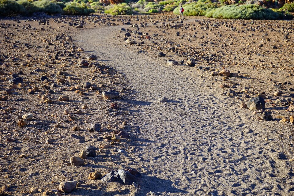 Migratory path trail tenerife