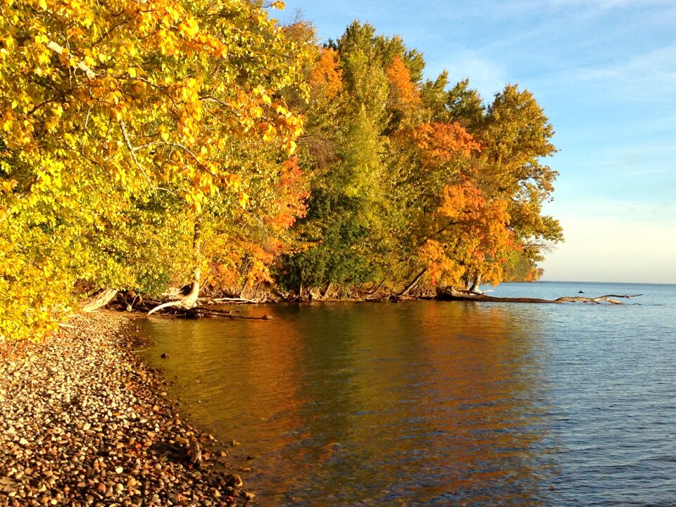Mirroring nature colors