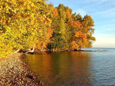 Mirroring nature colors photo