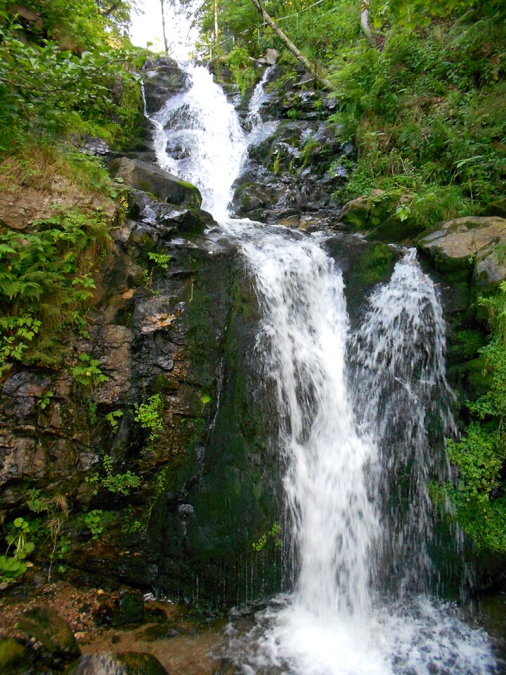 Flow murmur splash