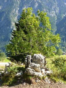 Landscape rest atmospheric