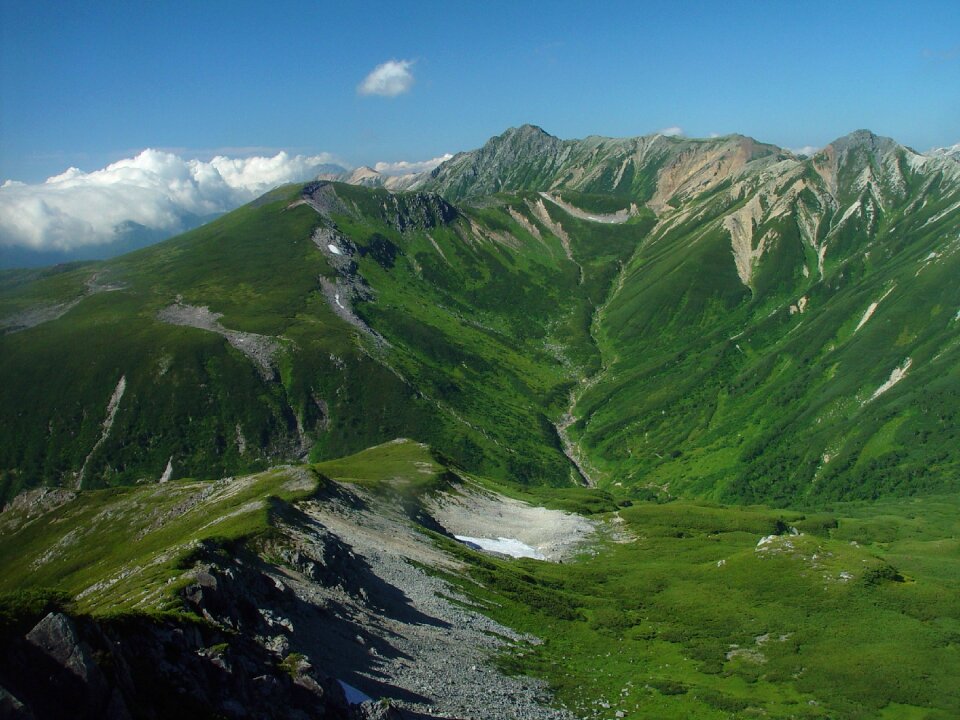 Summer valley ravine