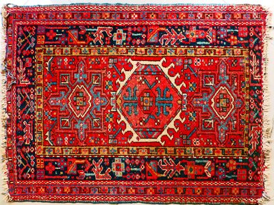 Retired persian rug oriental carpet