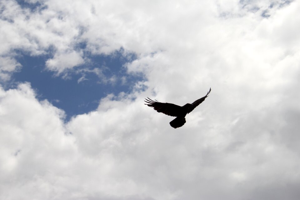 Sky silhouette black photo