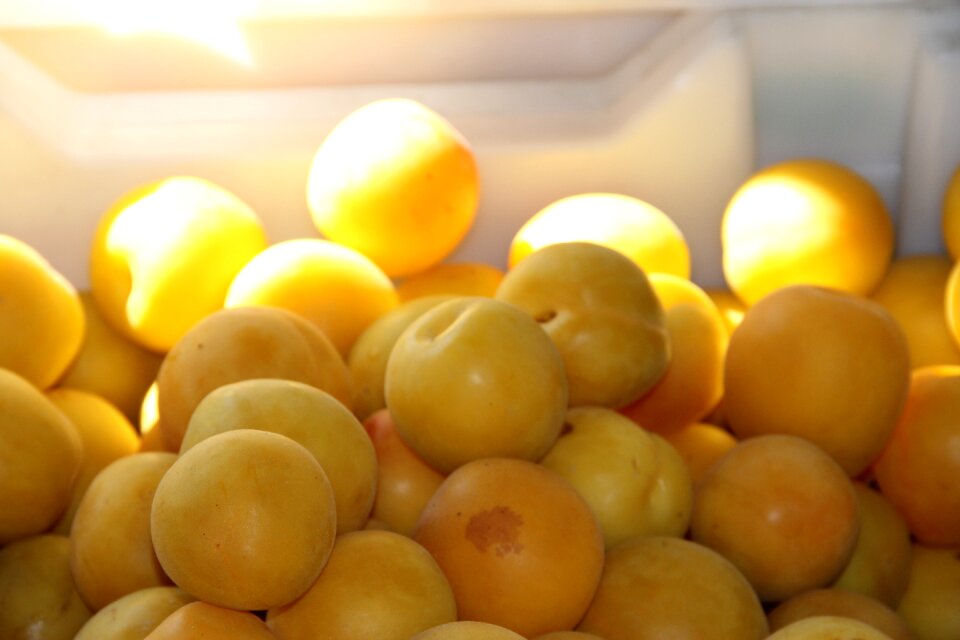 Food ripe healthy