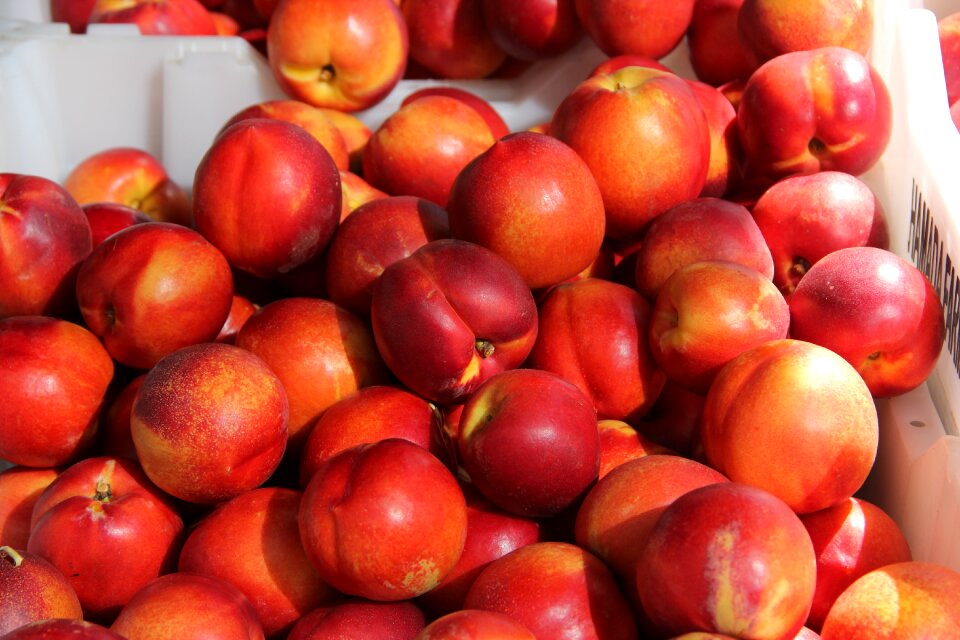 Fresh ripe organic