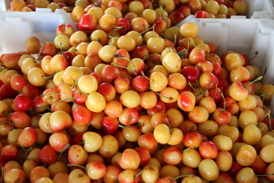 Juicy food ripe