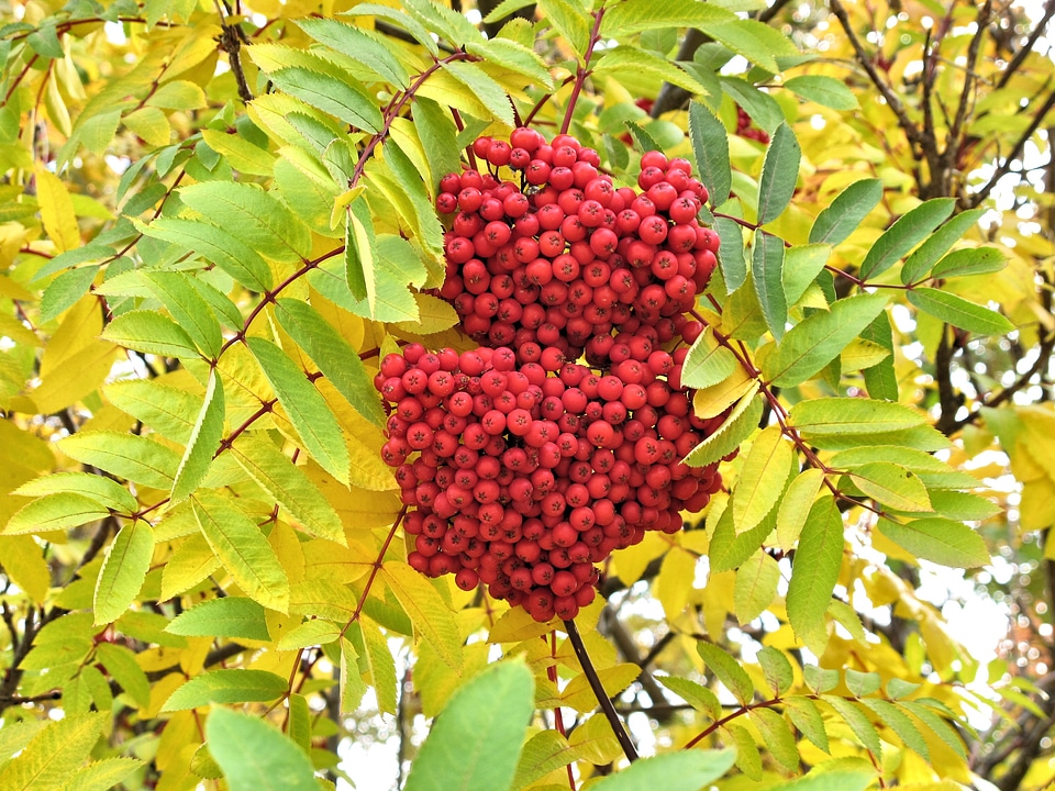 September nature outdoors