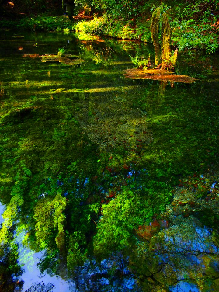 Spring water aso japan