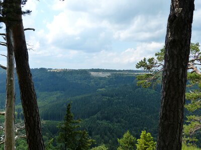 Sheep mountain swabian alb zollernalb photo