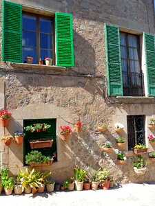 Shutters green old