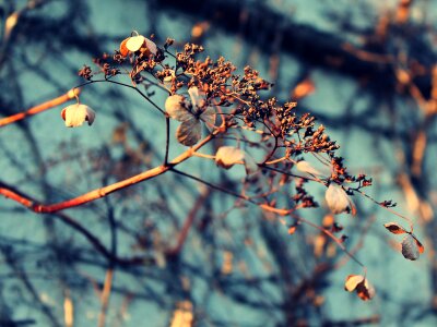 Sun winter autumn