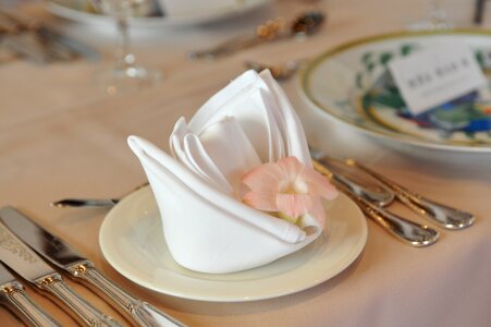 Wedding white petal