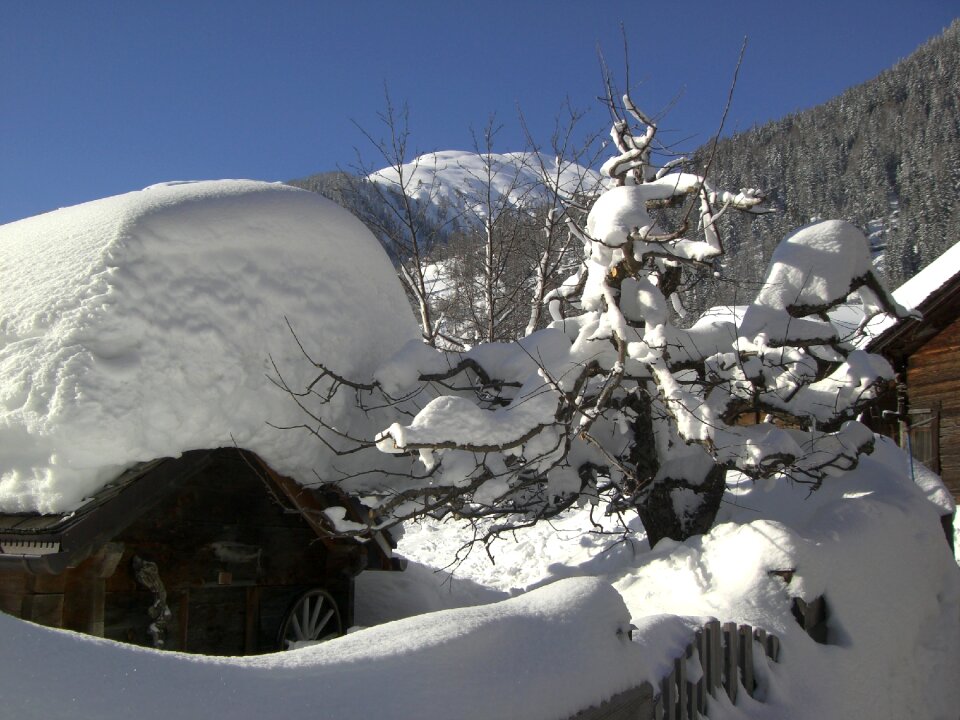 Cold winter's day wintry