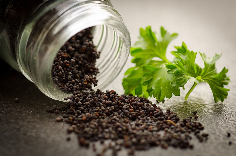Herbs sesame cuisine
