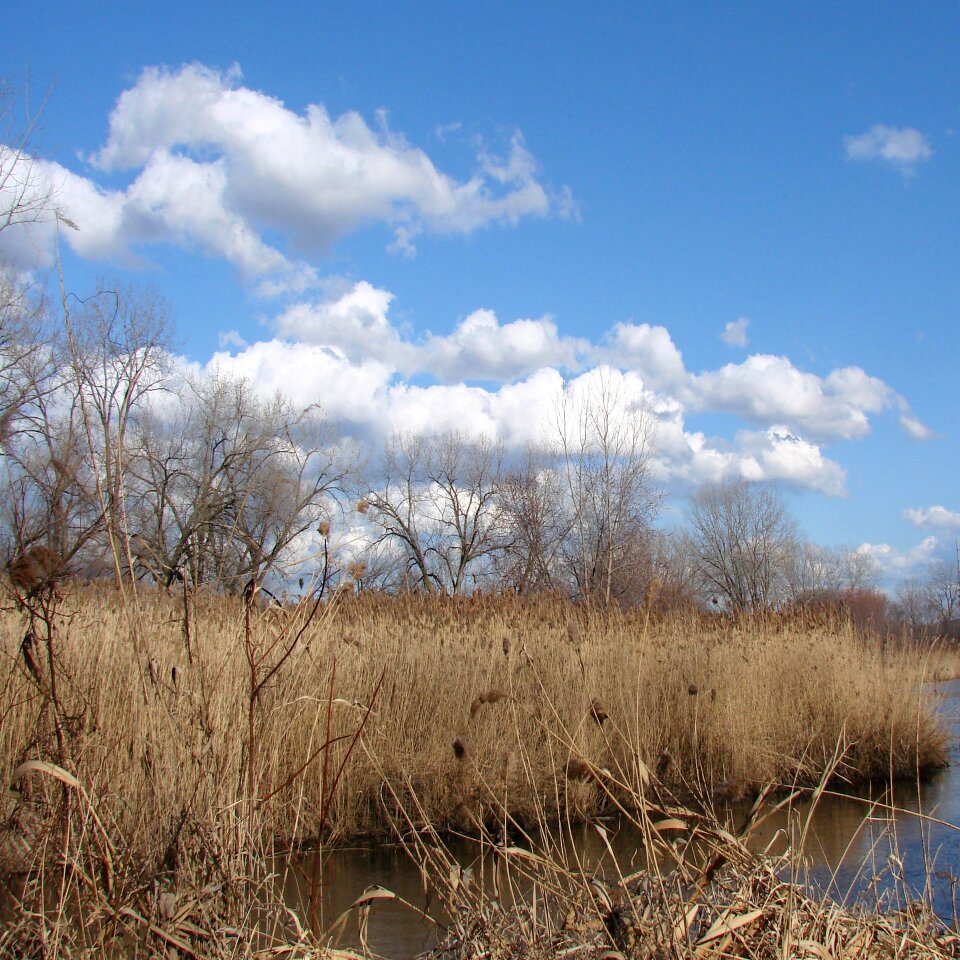 Landscape wilderness scenery