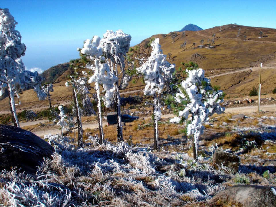 Frost snow scenic