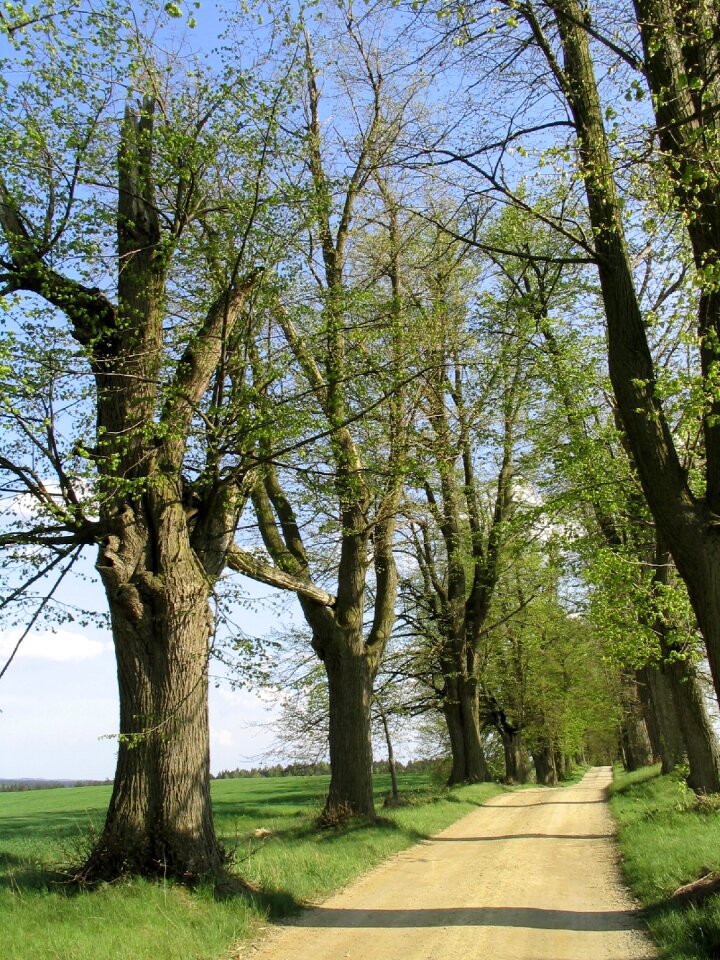 Spring czech republic south bohemia