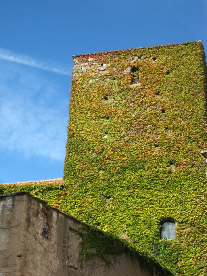 Green vertical garden tower