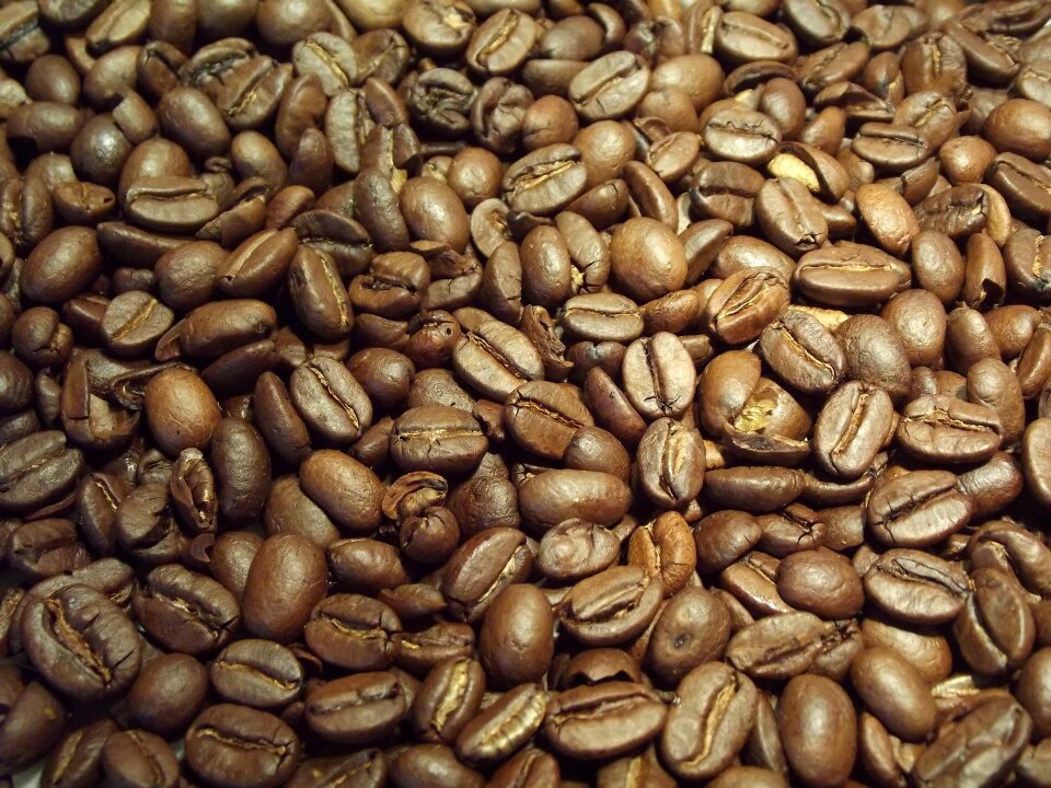 Caffeine brown roasted photo