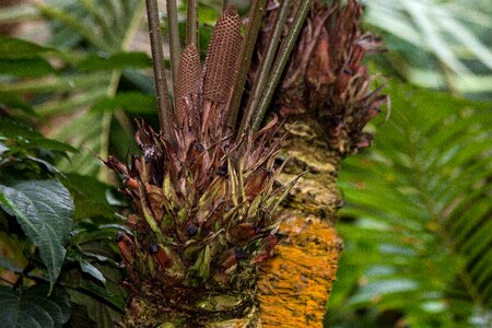 Two male plant tap