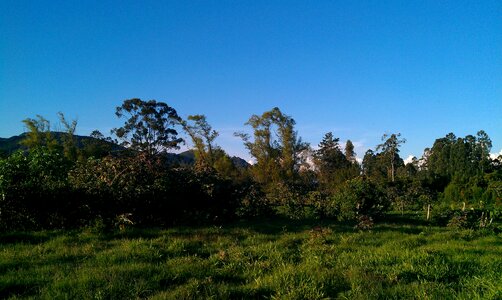 Colombia forest nature