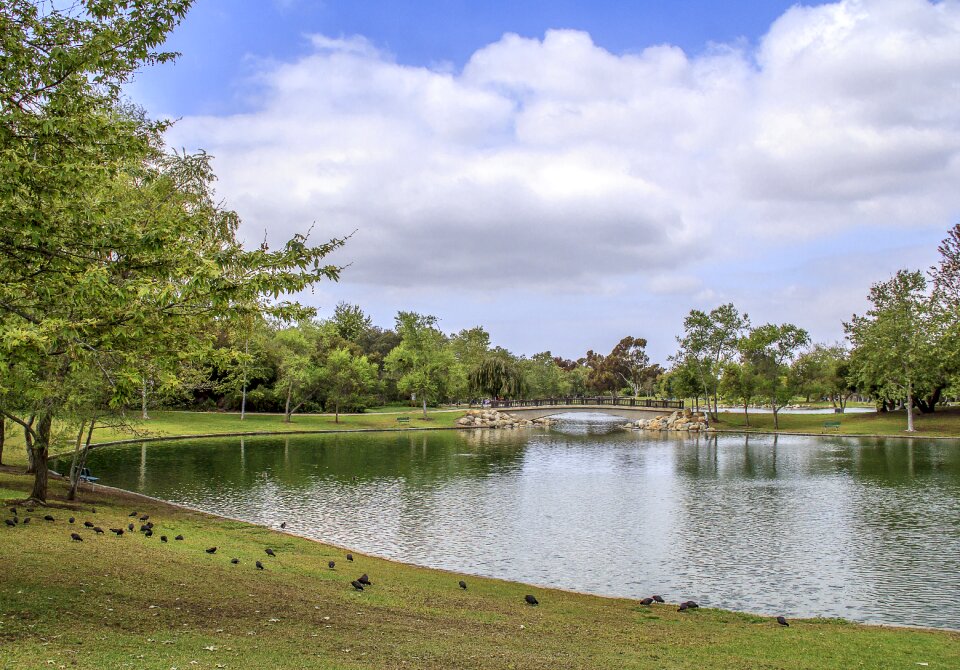 Water nature landscape