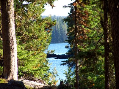 Beauty nature peaceful